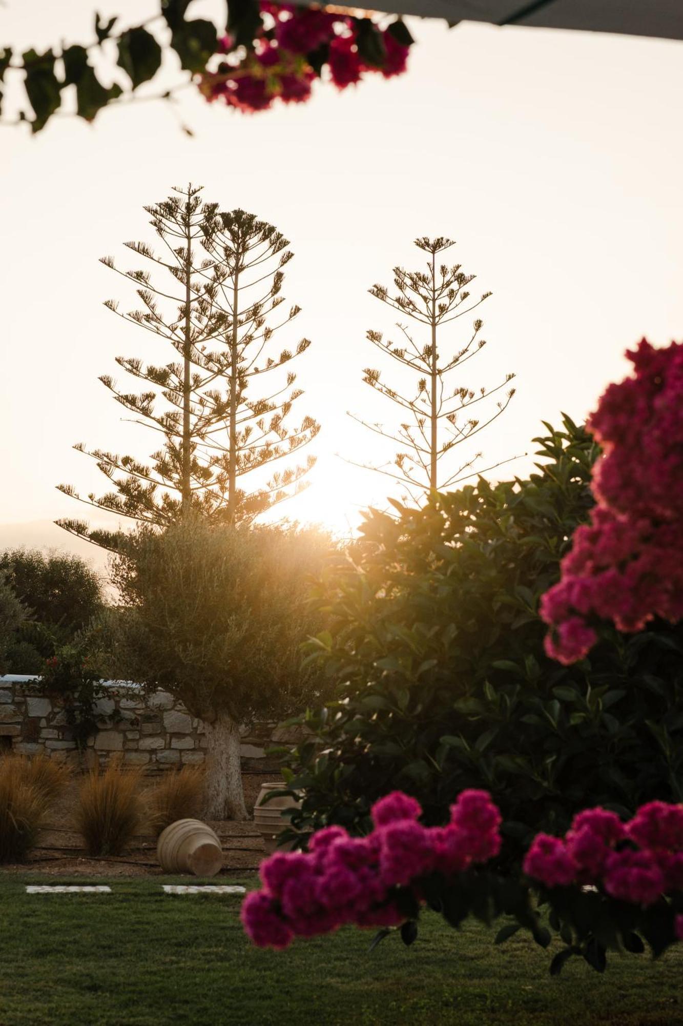 White Dunes Luxury Boutique Hotel Santa Maria  Zewnętrze zdjęcie